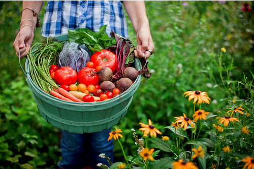 番茄紅素作用    抗腫瘤輻射調(diào)節(jié)血脂