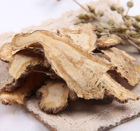 最適合女人保腎的10種食物