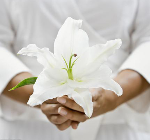 補(bǔ)脾的食物有哪些？9種常見健脾食物