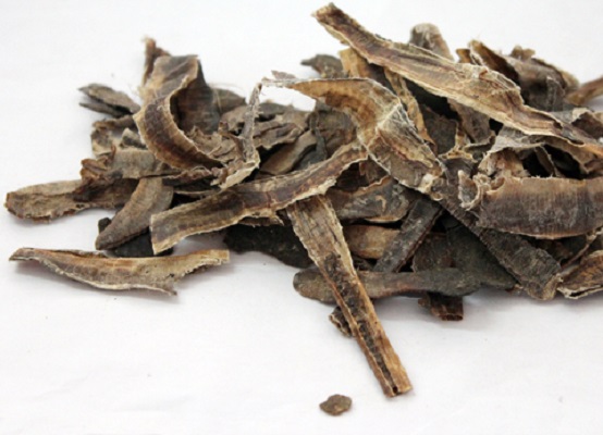 中藥地龍 中藥地龍的功效與作用