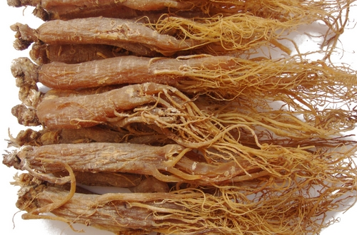 紅參與高麗參的區(qū)別    外形產地各不同