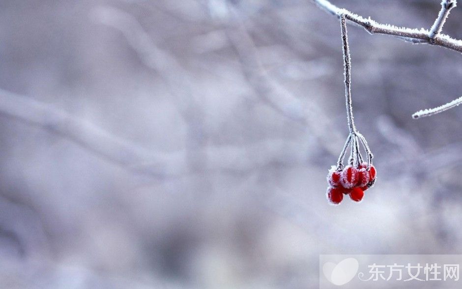小雪節(jié)氣吃什么好 小雪節(jié)氣牢記六個養(yǎng)生常識