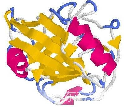 什么是營養(yǎng)不良性水腫？營養(yǎng)不良性水腫的飲食