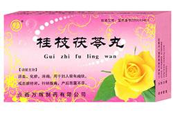 桂枝茯苓丸的功效與作用 桂枝茯苓丸的禁忌