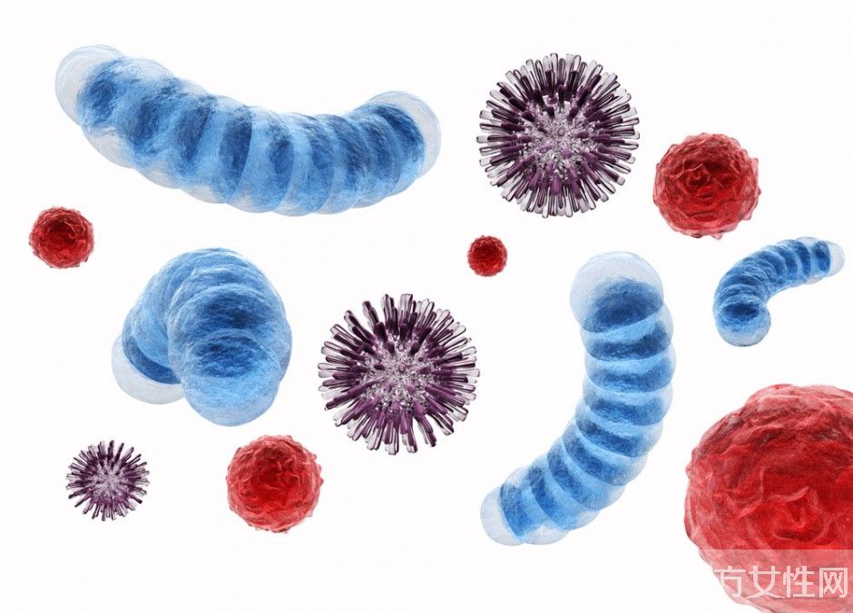 幽門螺旋桿菌感染 4大預(yù)防方法需做好