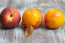 微波爐的用法有哪些 微波爐還能這么用