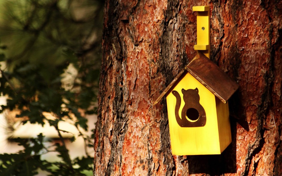 家有妙招大全集 薦日常生活中的12個(gè)小竅門
