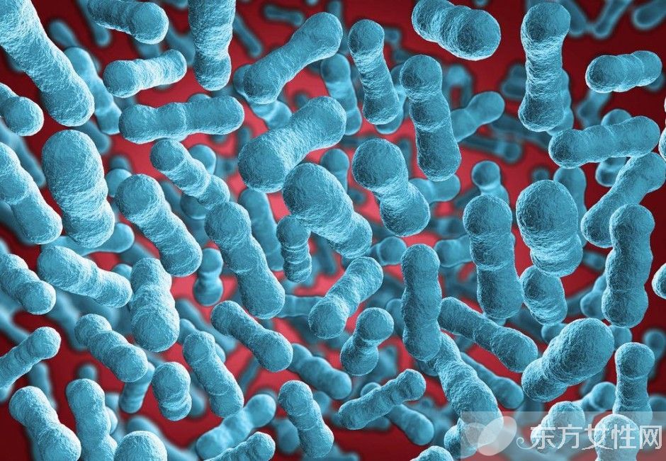 乙肝傳播途徑有哪些 幾大傳播途徑要了解