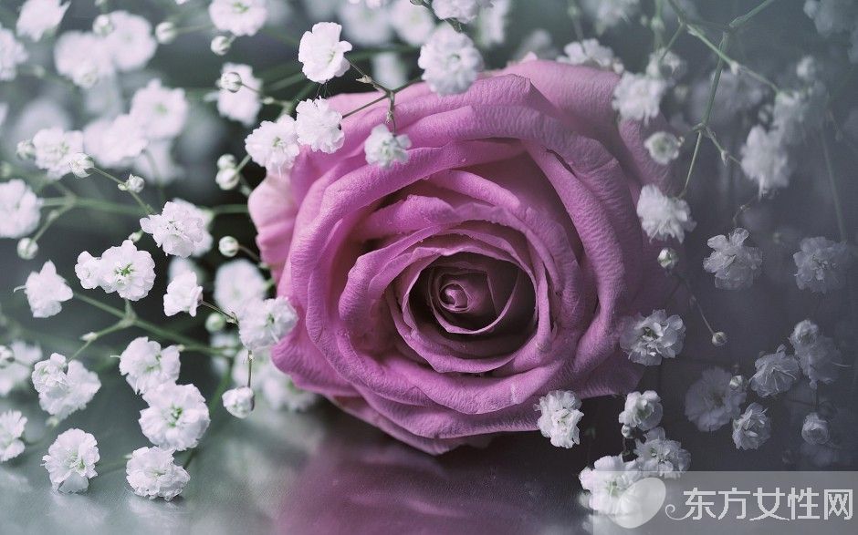 玫瑰花怎么保存時(shí)間長(zhǎng)  玫瑰花的花語是什么