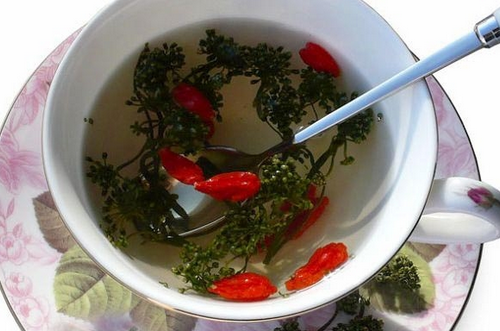 人參花的功效     延緩衰老抗腫瘤