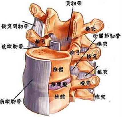 腰椎盤突出怎么鍛煉 腰椎盤突出的4大病因