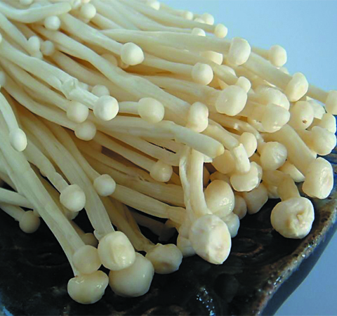 過敏吃什么 八種天然抗過敏食物大比拼