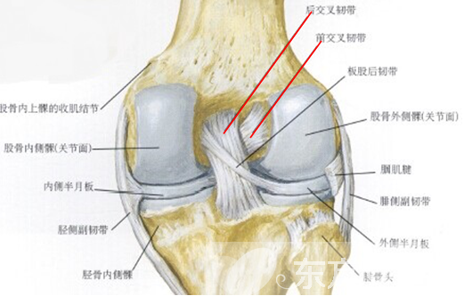 韌帶損傷如何治療 韌帶損傷的癥狀