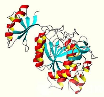什么是營養(yǎng)不良性水腫？營養(yǎng)不良性水腫的飲食