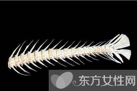 魚(yú)刺卡住了怎么辦 9種小妙招讓你很快消除魚(yú)刺