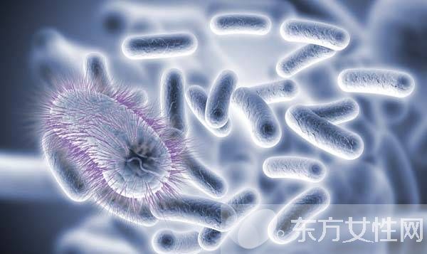 梅毒傳播途徑有哪些 男性如何對梅毒進(jìn)行預(yù)防