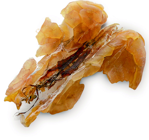 滋補(bǔ)養(yǎng)生 林蛙油的功效與作用