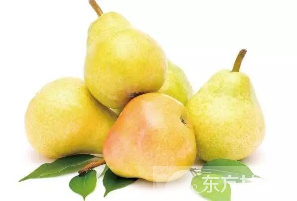 快速醒酒的方法有哪些 20個小妙招讓你不再愁