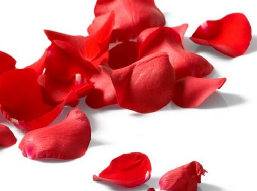 玫瑰花的功效與作用有哪些？有什么使用禁忌