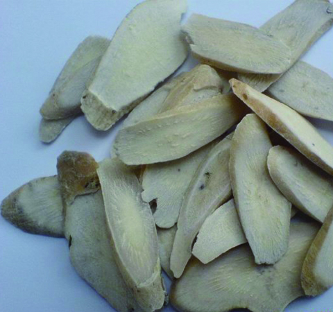 中藥赤芍藥的功效和作用及炮制方法