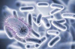 梅毒傳播途徑有哪些 男性如何對梅毒進(jìn)行預(yù)防