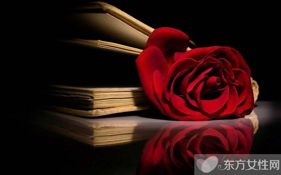 玫瑰花怎么保存時(shí)間長(zhǎng)  玫瑰花的花語是什么