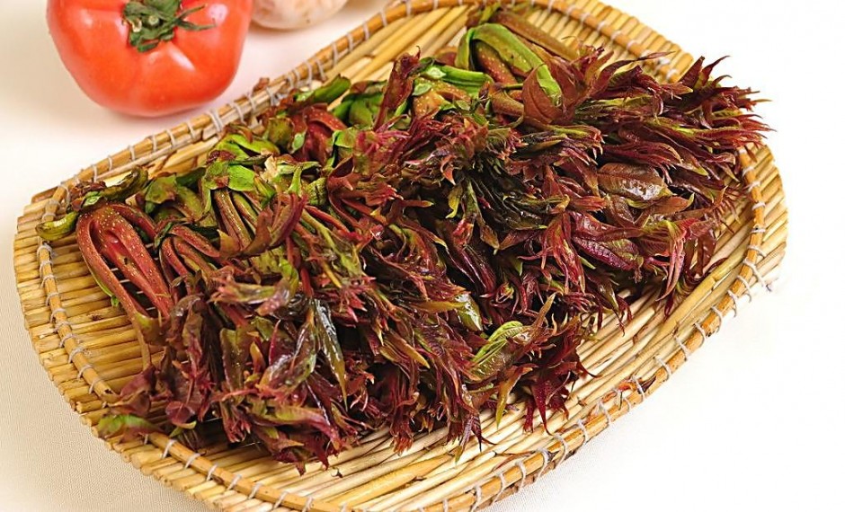 香椿的營養(yǎng)價值及做法大全 孕婦能吃香椿嗎