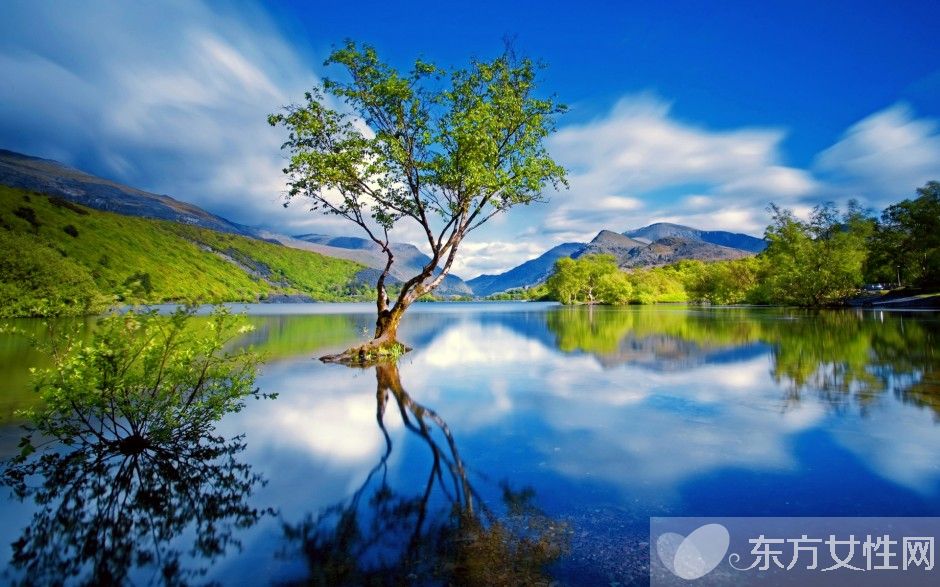 如何保護眼睛  推薦日常護眼10個小竅門