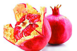 石榴皮的藥用價值及藥用附方