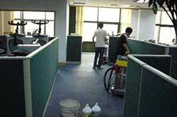 如何消滅跳蚤 消滅跳蚤的最佳辦法