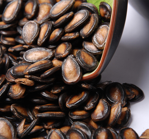 利肺潤(rùn)腸 簡(jiǎn)說(shuō)西瓜子的功效與作用