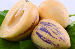 人參果的功效與作用及食用禁忌