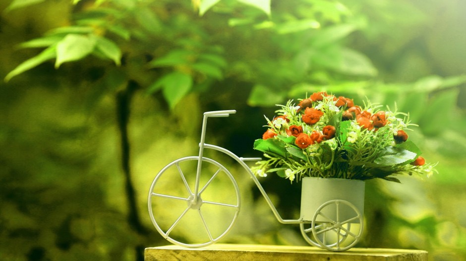 如何保護眼睛  推薦日常護眼10個小竅門