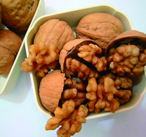 核桃的藥用價(jià)值及選購(gòu)儲(chǔ)存方法