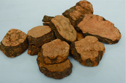 中醫(yī)教你怎么吃 何首烏的吃法介紹