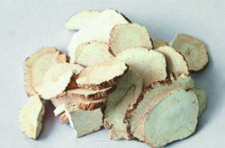 中藥川芎的作用 正確了解使用川芎