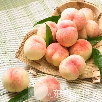 桃子屬于什么種類的水果 吃桃子的5個(gè)禁忌
