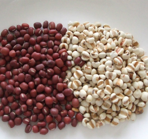 祛濕的最佳品薏米的副作用有哪些