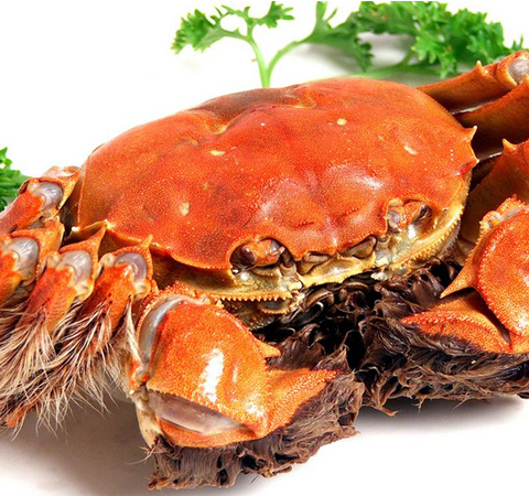 柿餅的營養(yǎng)價(jià)值 豐富維生素都在它這里