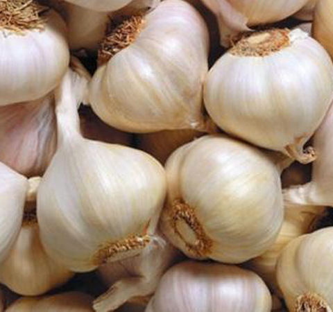 大蒜的營養(yǎng)價值 教你如何吃大蒜消毒殺菌