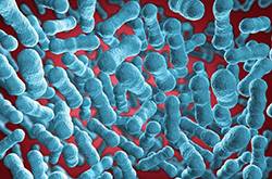 乙肝傳播途徑有哪些 幾大傳播途徑要了解