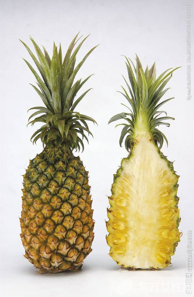 鳳梨和菠蘿的區(qū)別 鳳梨和菠蘿的營養(yǎng)價值都有哪些