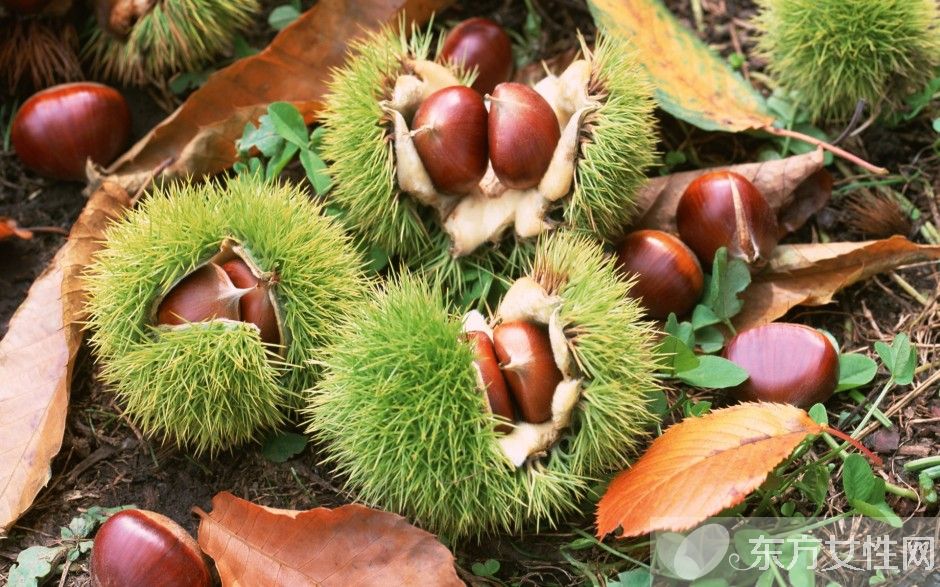 栗子怎么剝皮  板栗生吃有什么好處