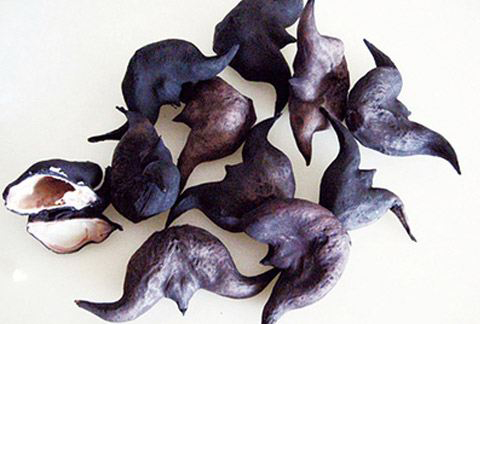 細(xì)說菱角粉的功效和作用有哪些