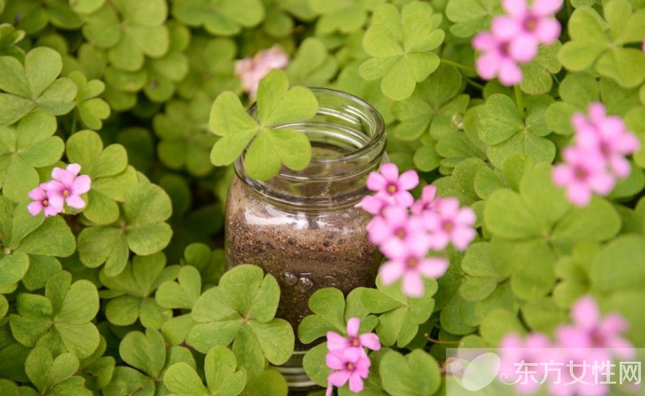 家有妙招大全集 薦日常生活中的12個(gè)小竅門