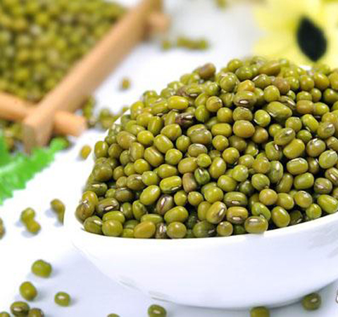 揭綠豆的營養(yǎng)價值 綠豆該如何選購