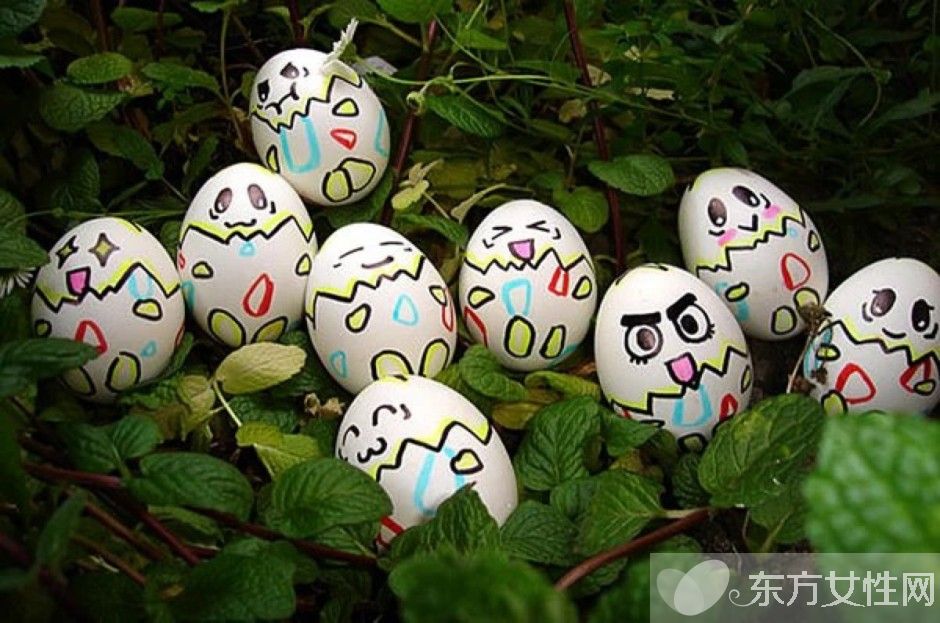 雞蛋殼的妙用有哪些  揭秘雞蛋殼的16個(gè)神奇妙用