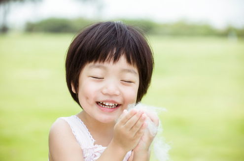 揭木棉花的功效與作用 原來它涼茶配方之一