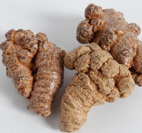 田七粉的作用有哪些 散瘀消腫降血脂