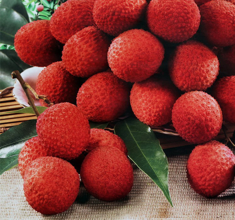 荔枝的功效與作用 哪些人不適合吃